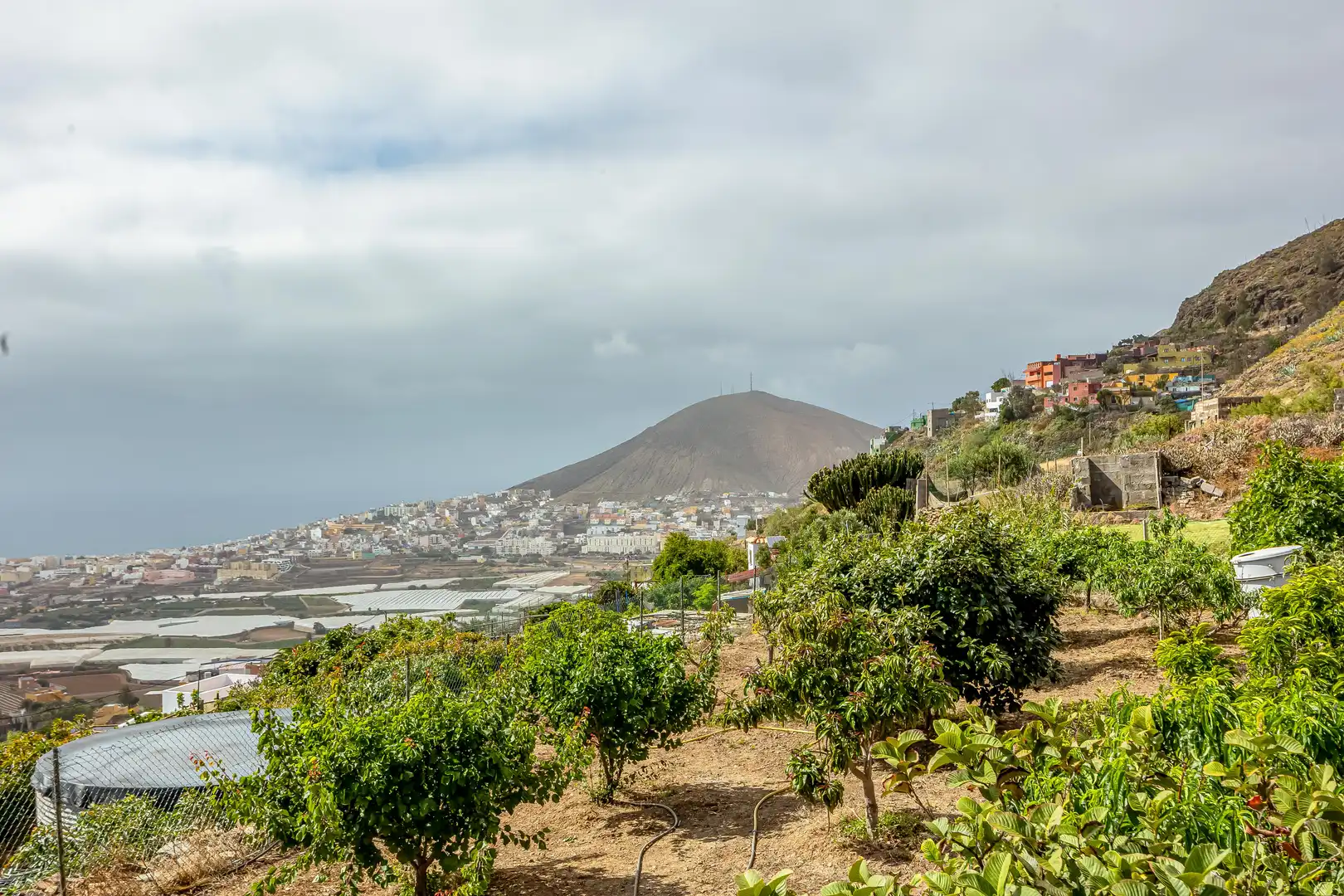 Casa o xalet en venda a Santa María de Guía de Gran Canaria