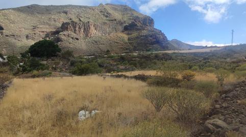 Photo 4 of Land for sale in  Polígono 2 Parcela 125 Cdo Monte. Santiago del Te, Tamaimo - Arguayo, Santa Cruz de Tenerife