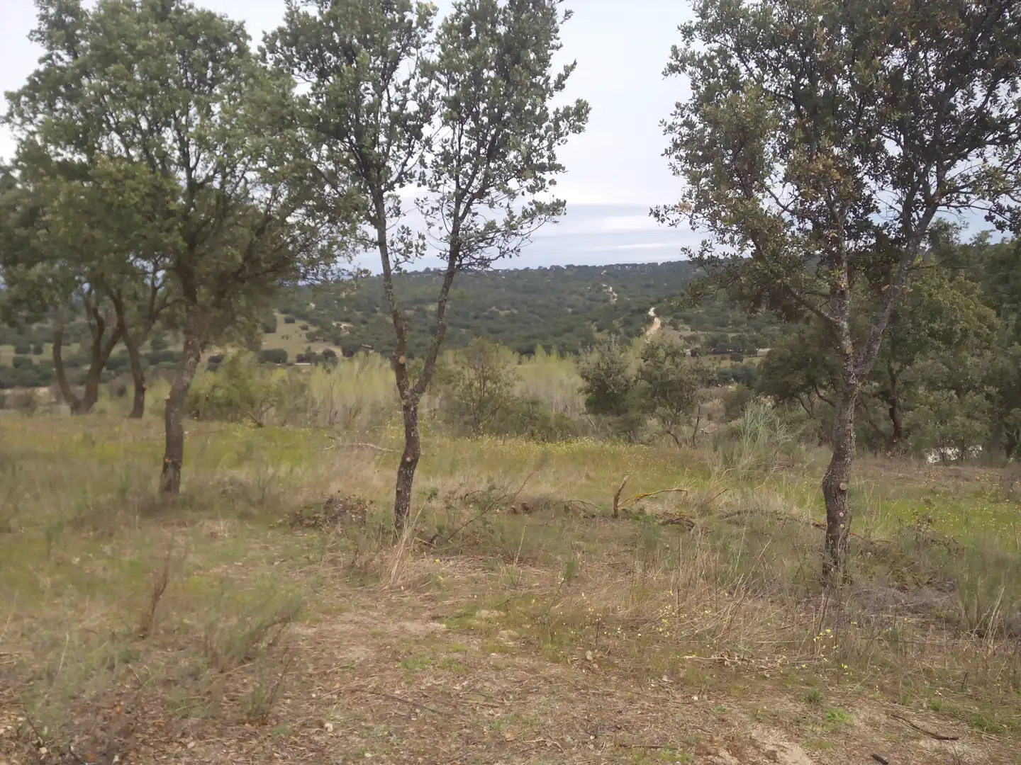 Terreno en venta en Aldea del Fresno