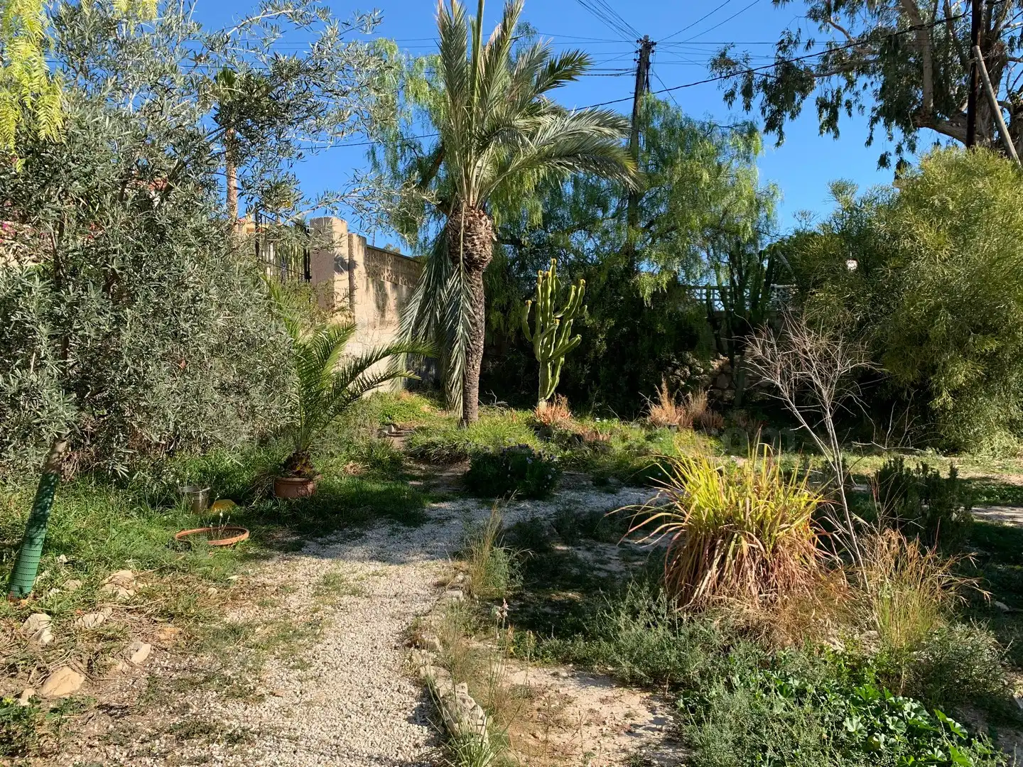 Houses for sale in El Campello  with Private garden, Terrace and Swimming Pool