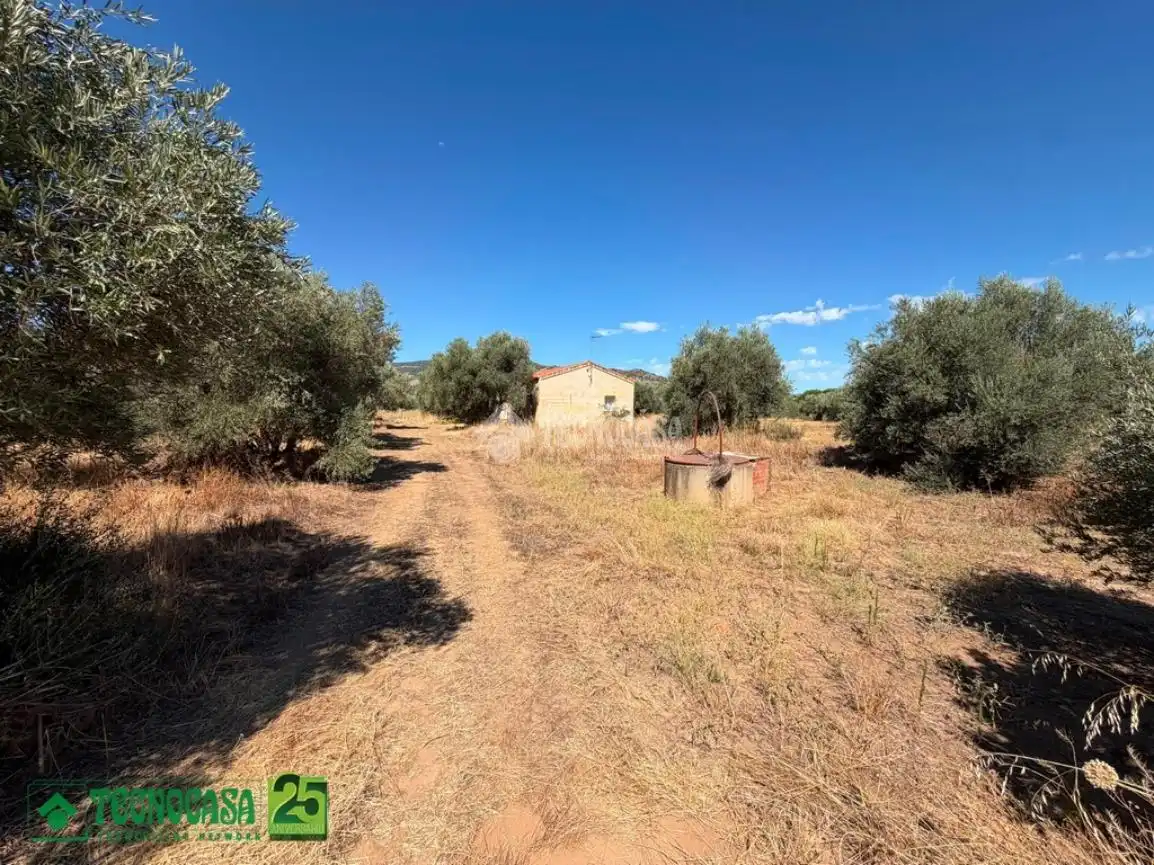 Houses for sale in Piedrabuena