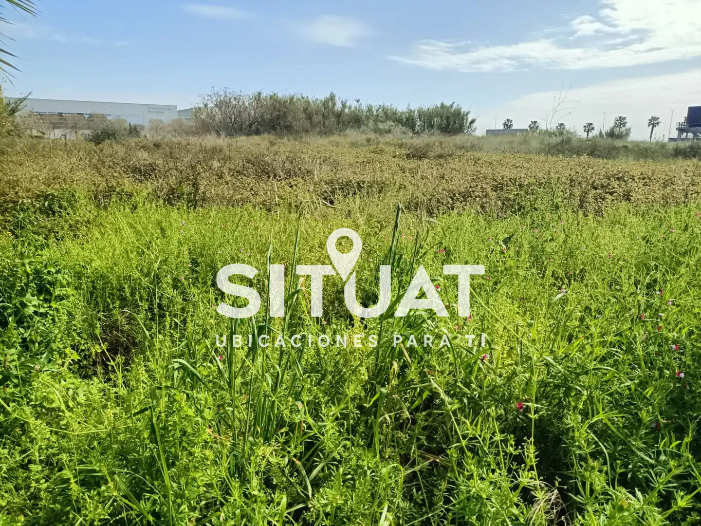 Industrial land for sale in Avinguda del Segle XXI 6, imagen 15