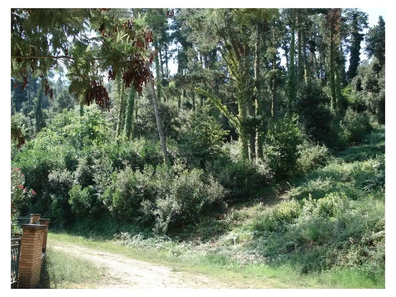 Residencial en venda en Vallromanes