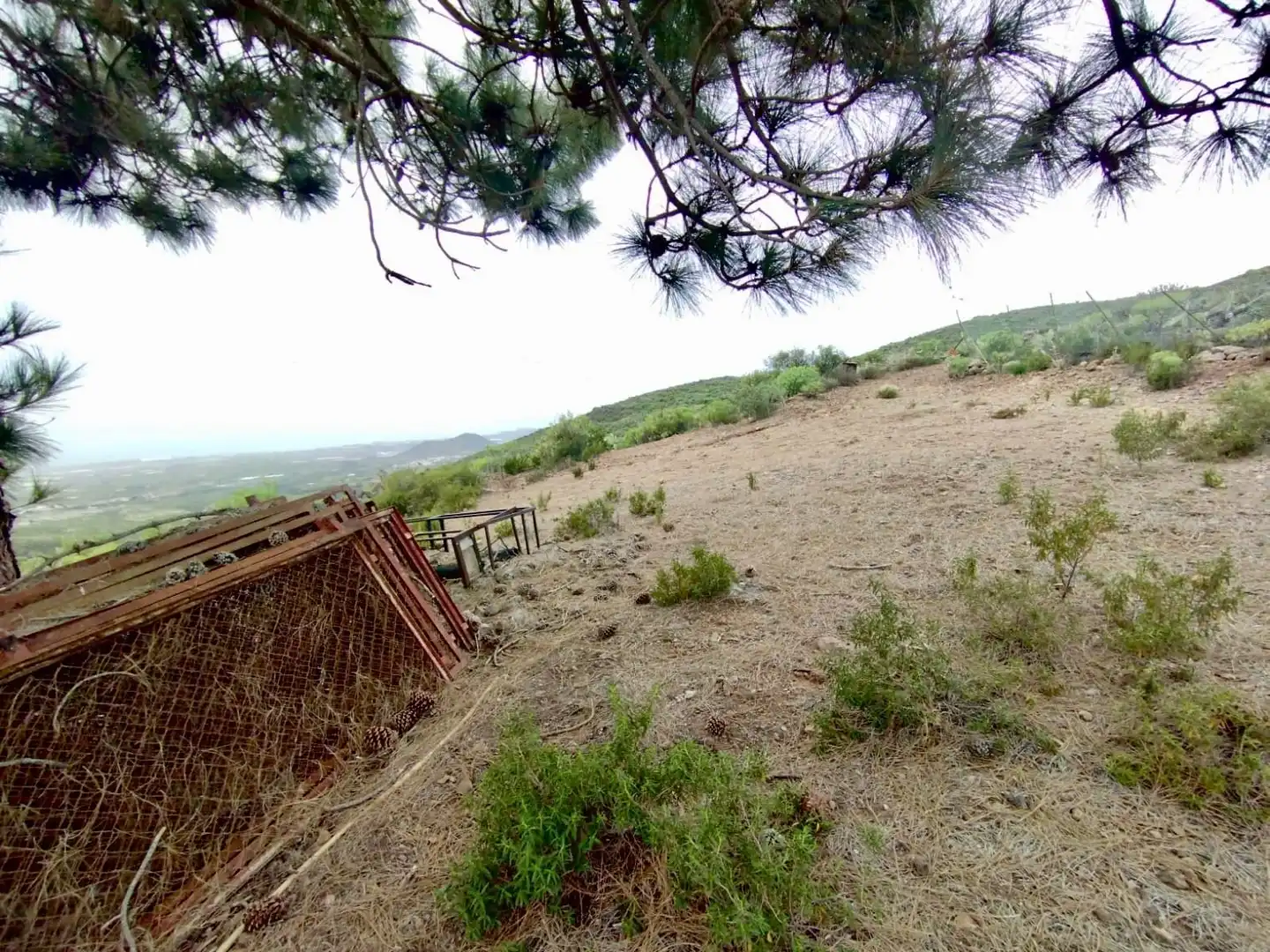 Finca rústica en venta en Granadilla de Abona