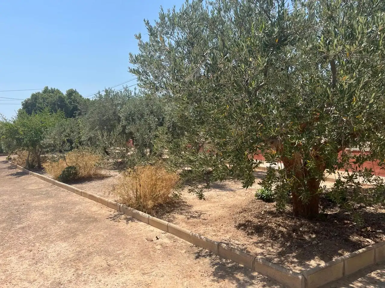 Casa o chalet en venta en Alicante / Alacant con Aire acondicionado, Jardín privado y Terraza