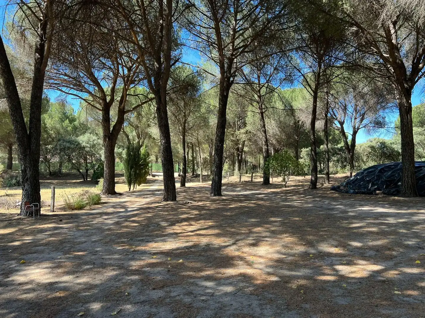 Casa rústica en venda a Andújar, imagen 10