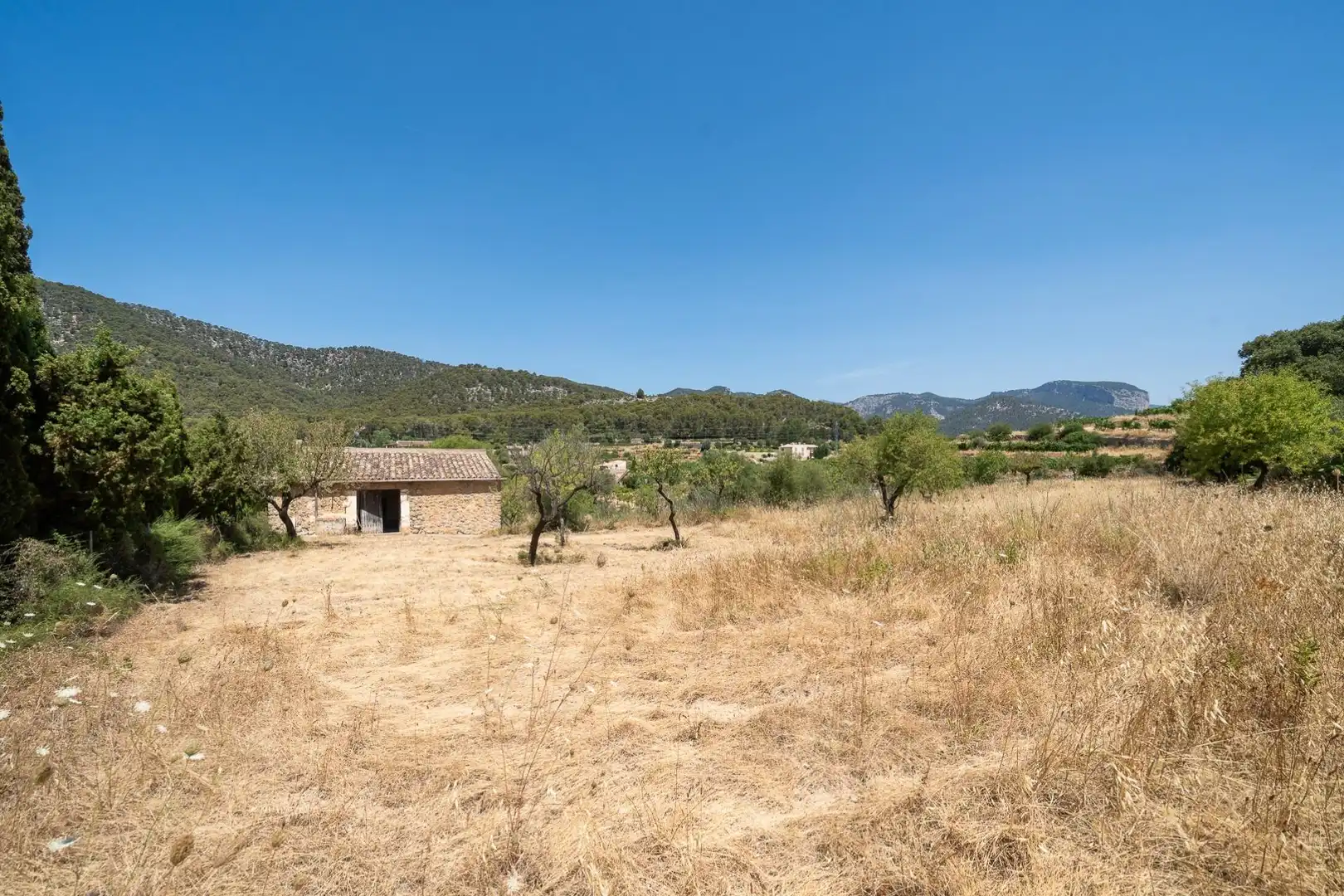 Casa o chalet en venta en Alaró con Jardín privado
