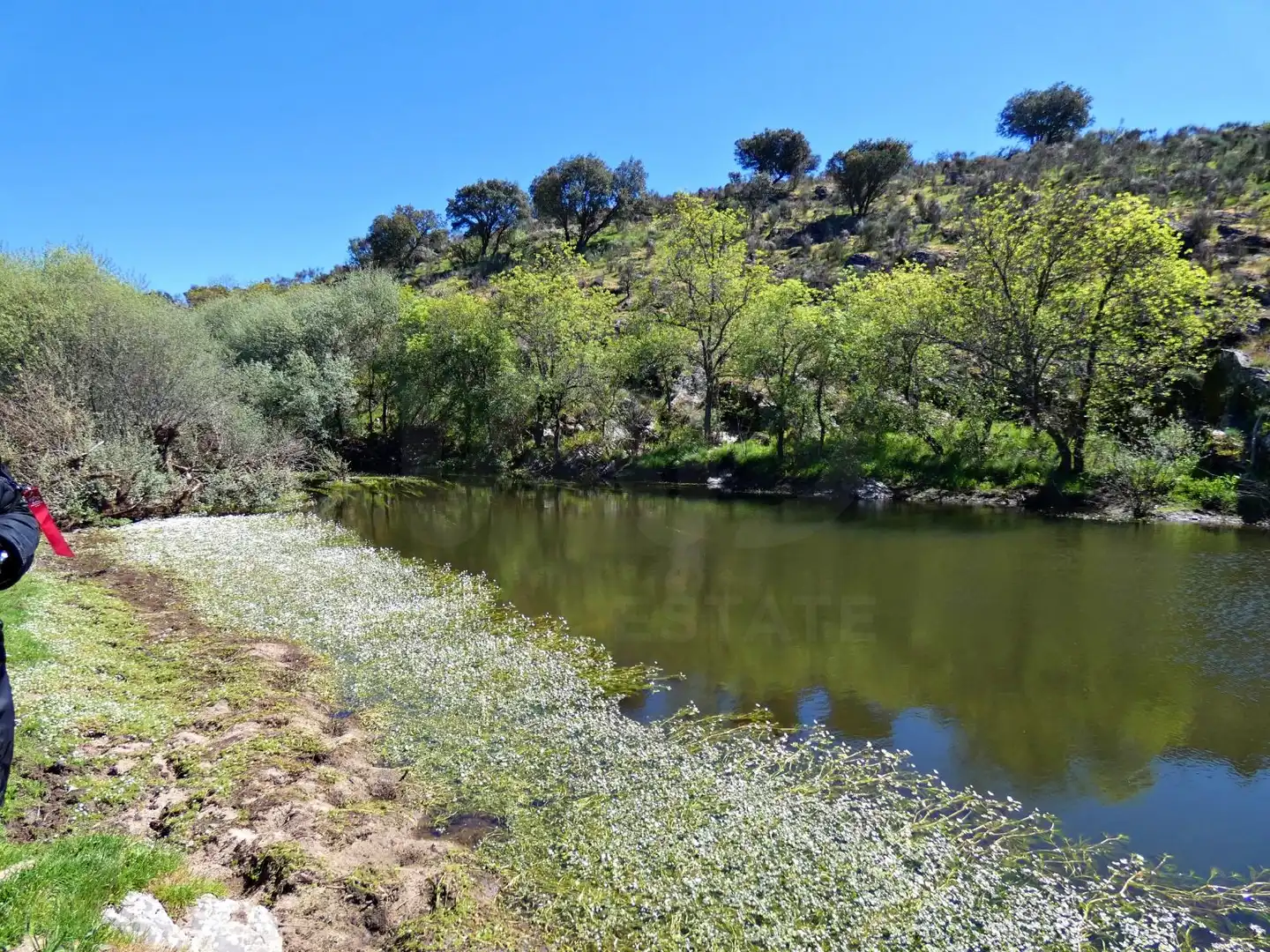 Vista exterior de Terreny en venda en Gallegos de Argañán