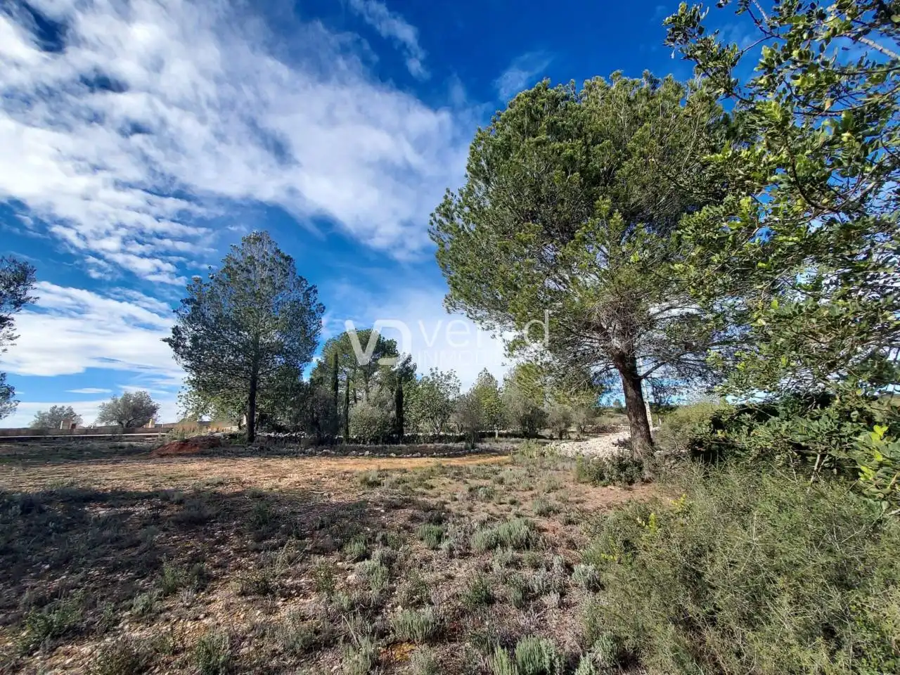 Terreno en venta en Enguera