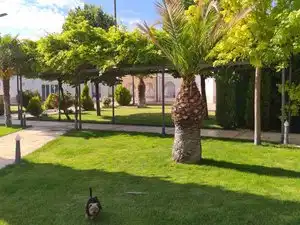 Villa mit Pool zum Verkauf in Villarrobledo, imagen 57
