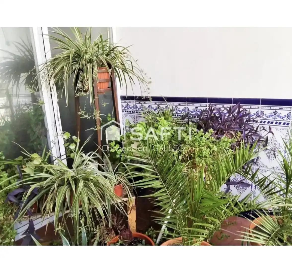 Jardí de Planta baixa en venda en Campo de Criptana amb Aire condicionat, Traster i Moblat