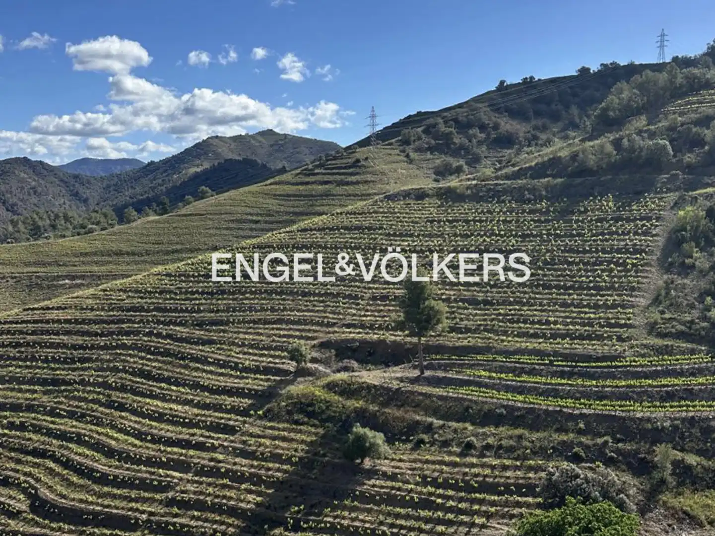 Residential land for sale in La Pobla de Claramunt, imagen 18