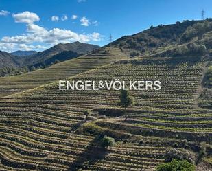 Residencial en venda en Bellmunt del Priorat