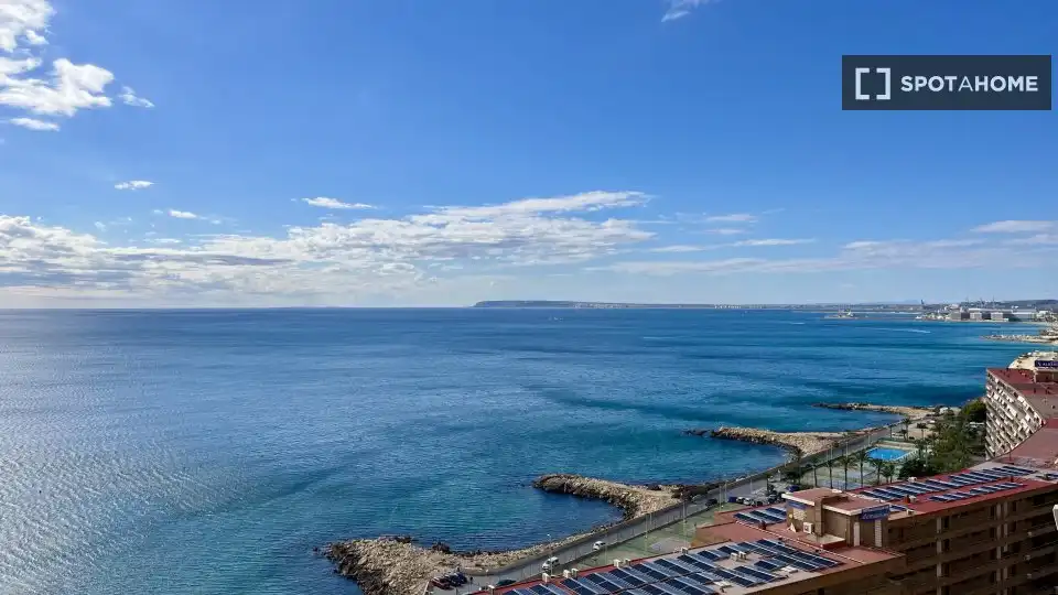 Habitació a Alicante / Alacant, Alicante