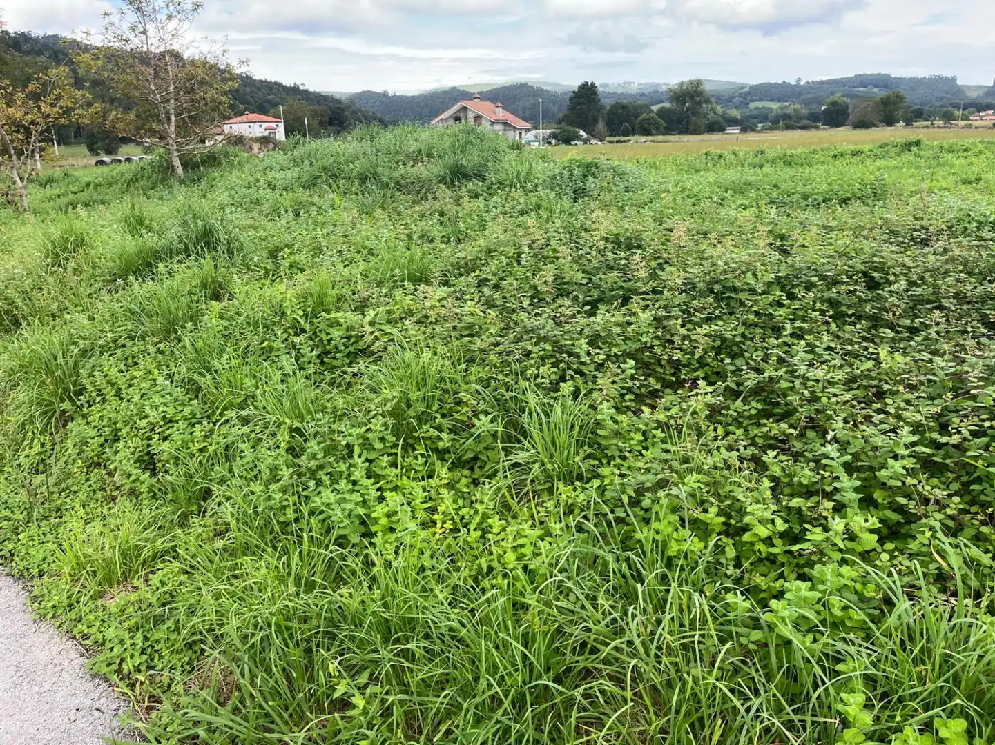 Land for sale in Solórzano