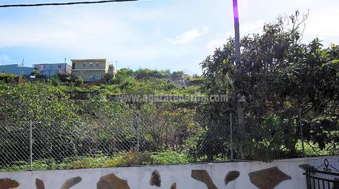 Foto 4 de Finca rústica en venta en La Vega - El Amparo - Cueva del Viento, Icod de los Vinos