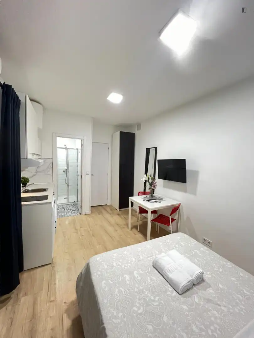 Studio à louer à Chamberí, imagen 2