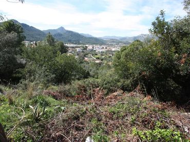 Terrain résidentiel à vendre à Orba