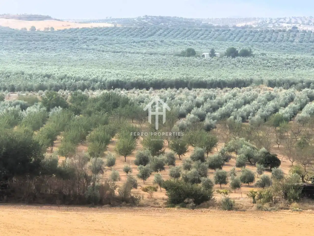 Rural land for sale in Moraleda de Zafayona, imagen 5