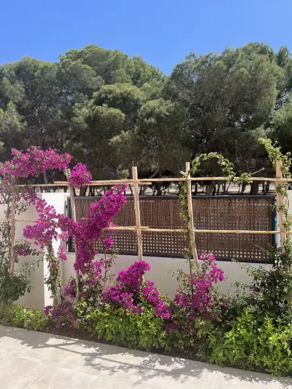 Mini appartamento con piscina in vendita a San Javier ciudad, imagen 17