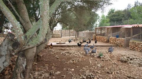 Photo 4 of Country house for sale in Lloret de Vistalegre, Illes Balears