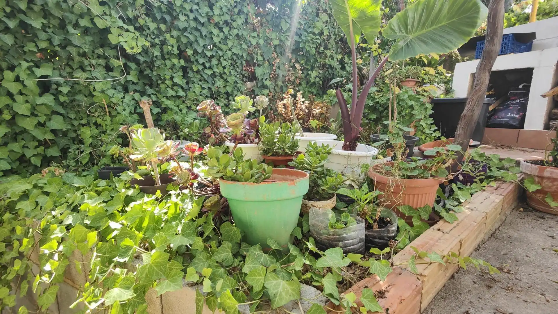 Wohnbaugrundstück zum Verkauf in Avenida Avinguda Cunit, imagen 28