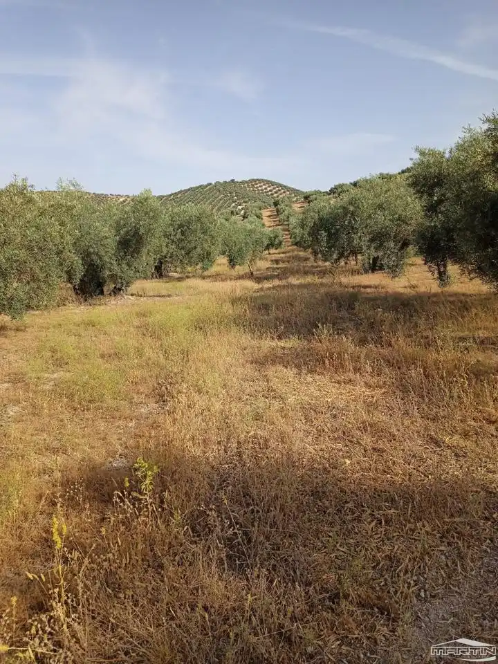 Terrain rustique à vendre à Paraje El Barrancón, Pol.101, Par.183, 66, imagen 4