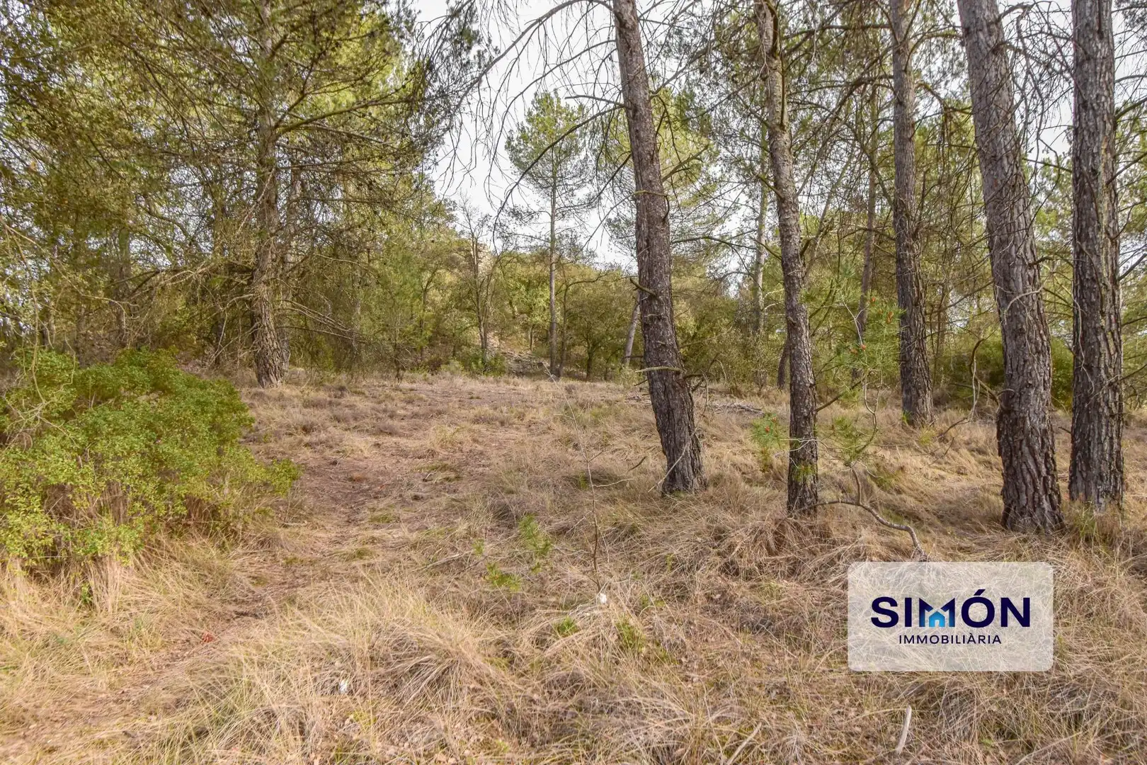 Finca rústica en venta en Veciana