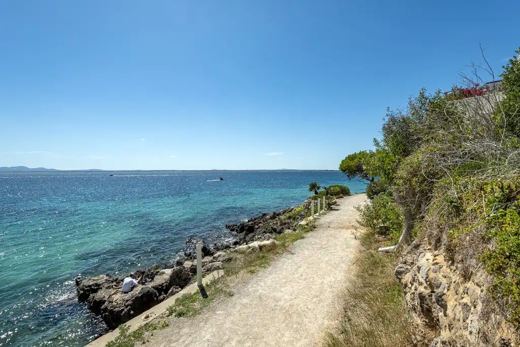 Land for sale in Alcúdia