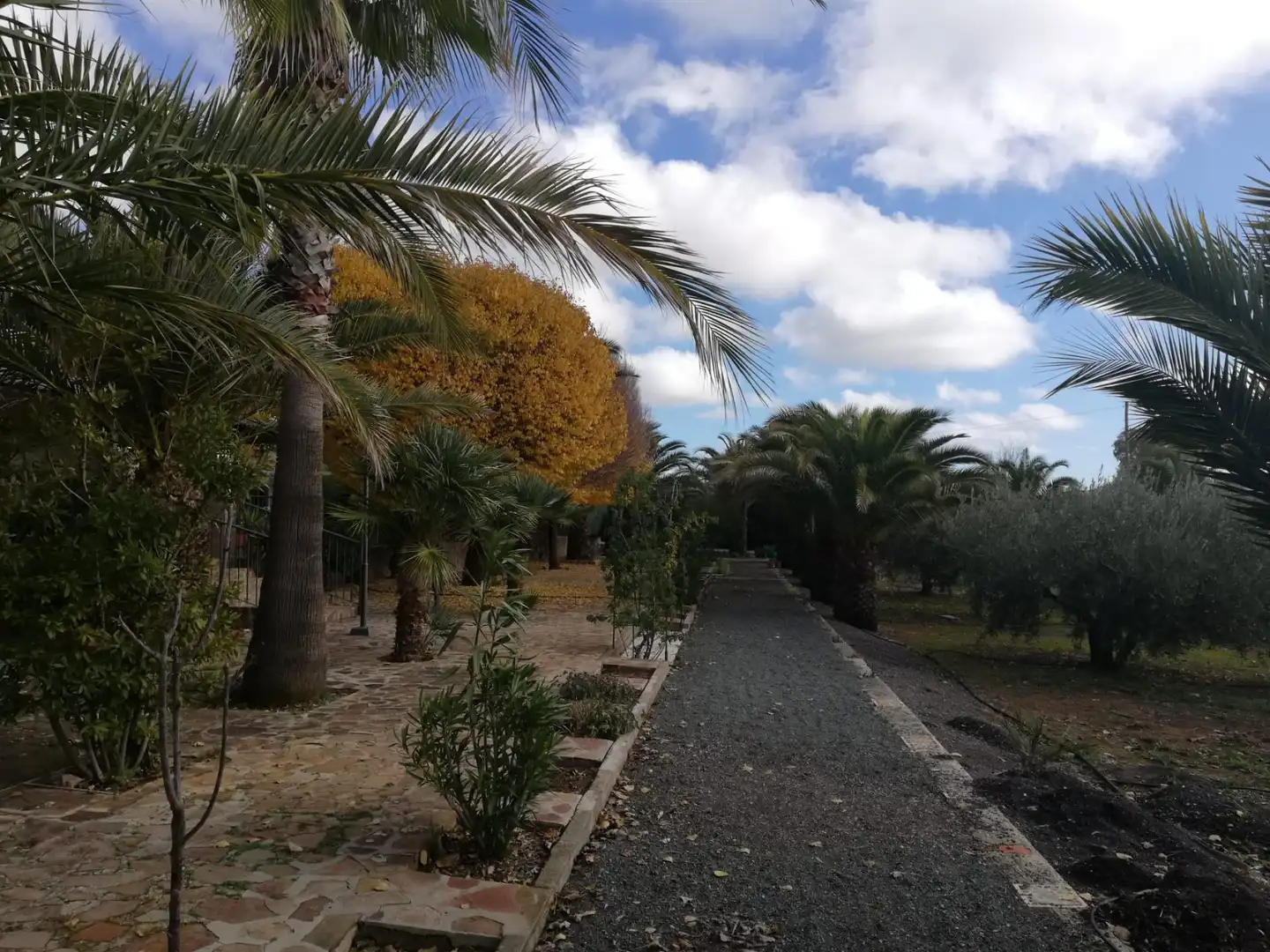 Jardín de Casa o chalet en venta en Brazatortas con Aire acondicionado, Calefacción y Jardín privado