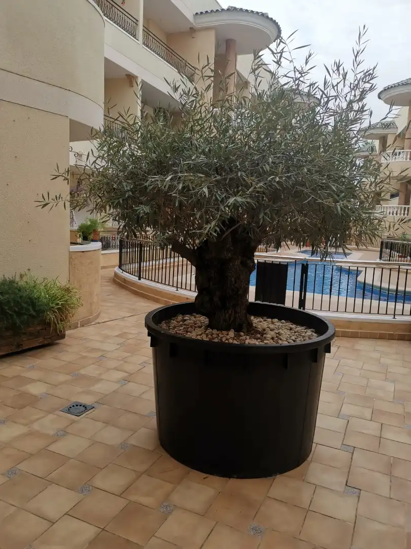 Terraza de Piso de alquiler en Jacarilla, Alicante