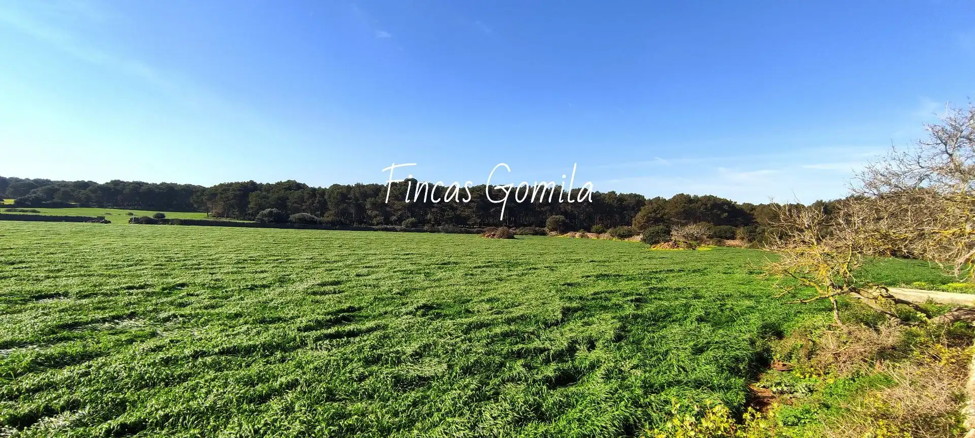 Finca rústica en venda en Es Mercadal