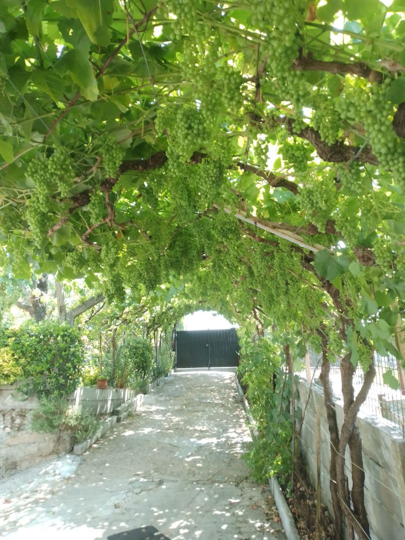 Garden of House or chalet for sale in Ourense Capital   with Air Conditioner, Heating and Private garden