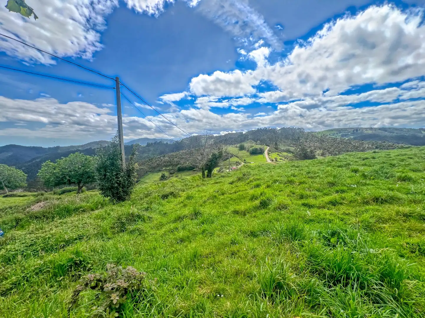 Lands and plots for sale in Pillarno, imagen 15