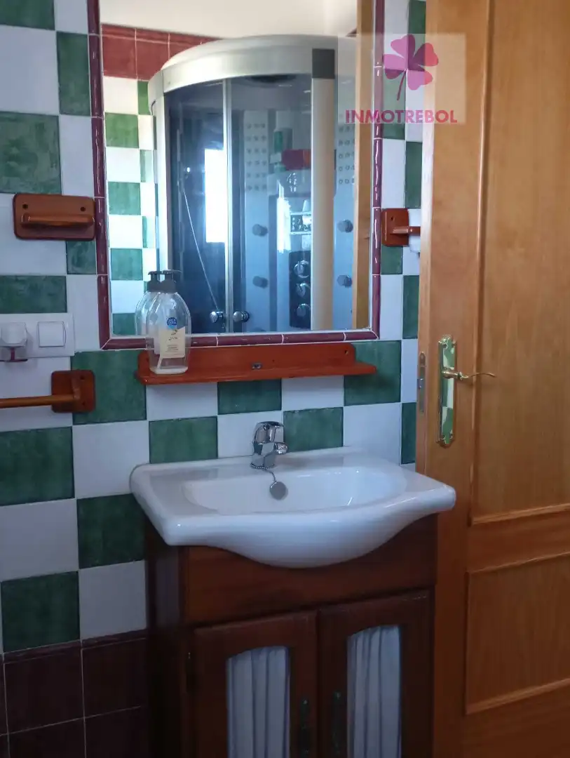 Bany de Casa o xalet en venda en Carrión de los Céspedes amb Jardí privat, Parquet i Piscina