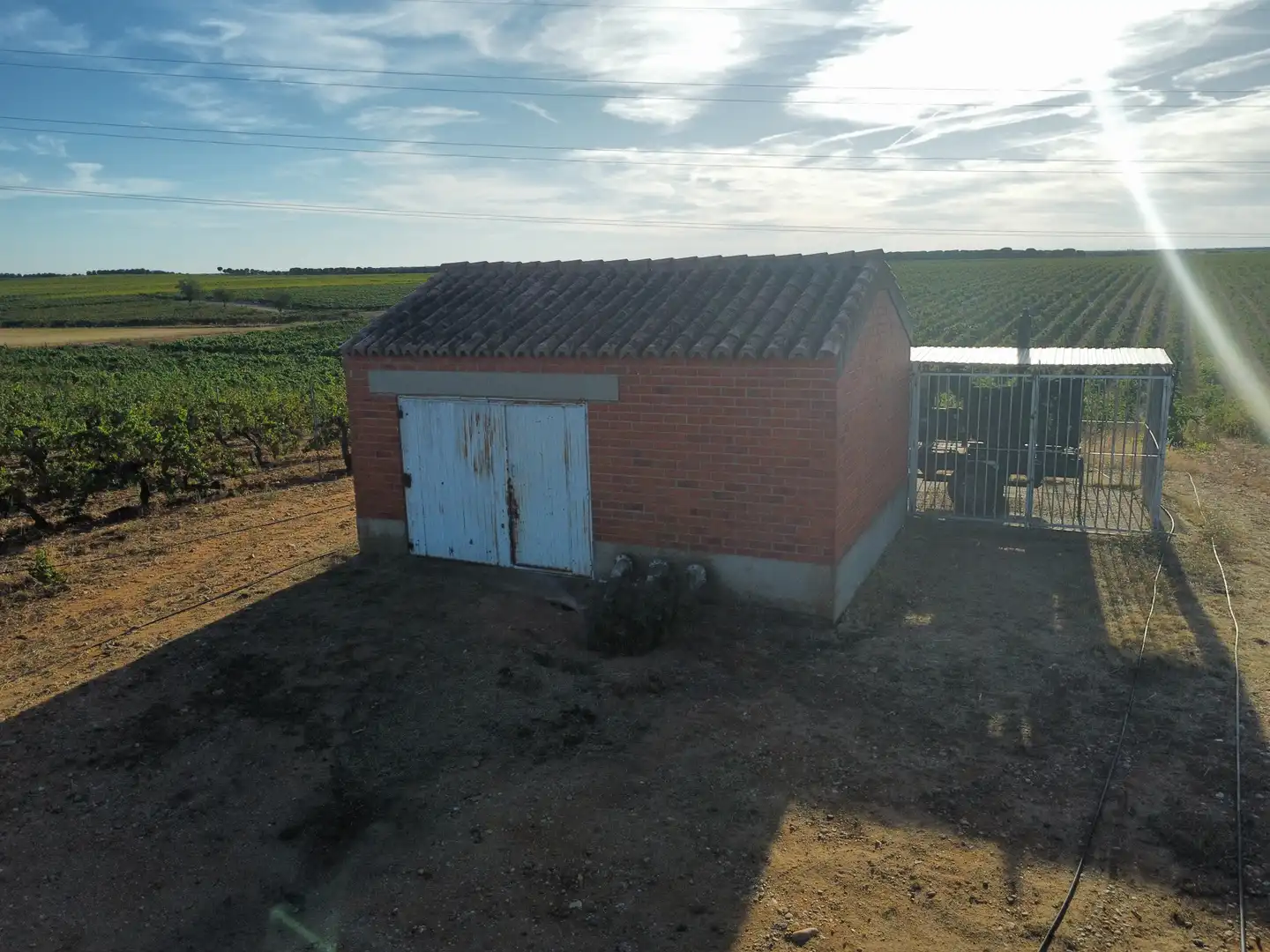 Terreno rustico in vendita a Rueda, imagen 11
