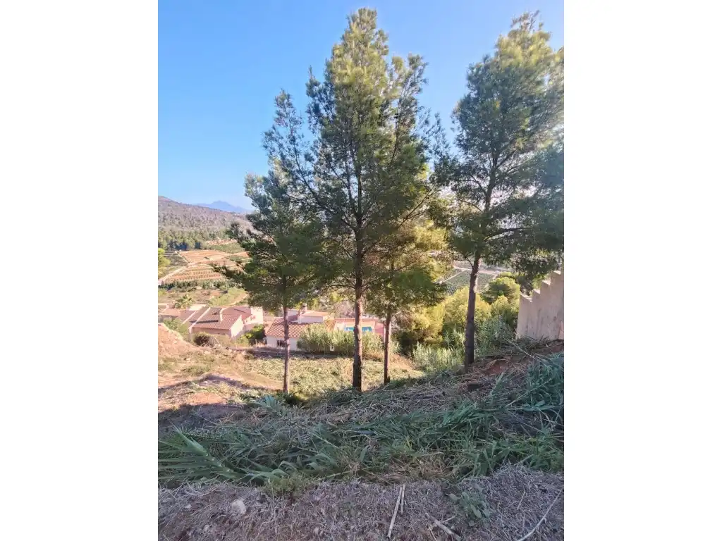 Residencial en venda a Calle Salze, Ador