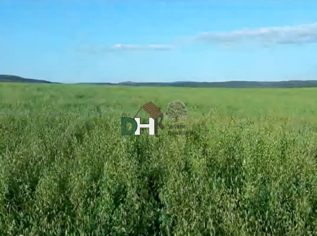 Terrenos y solares en venta en Dehesilla de Calamón - Campomanes