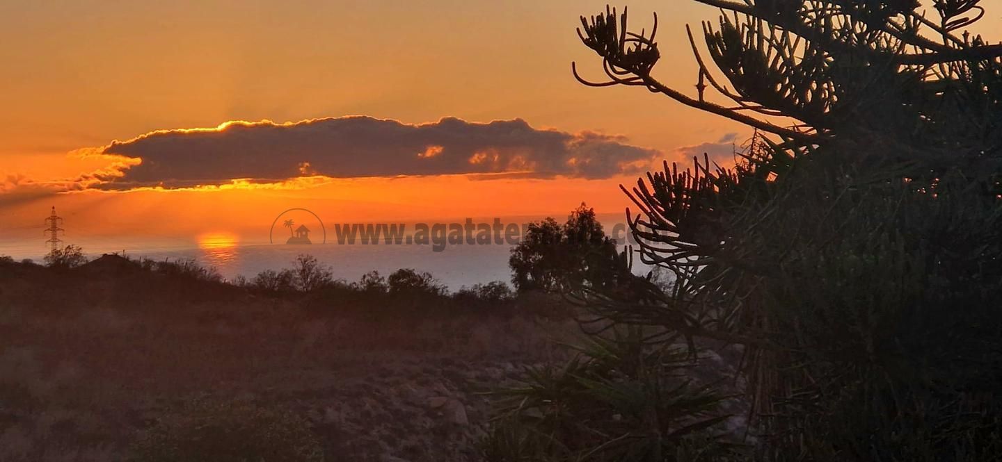 Exterior view of House or chalet for sale in Granadilla de Abona  with Air Conditioner, Terrace and Swimming Pool