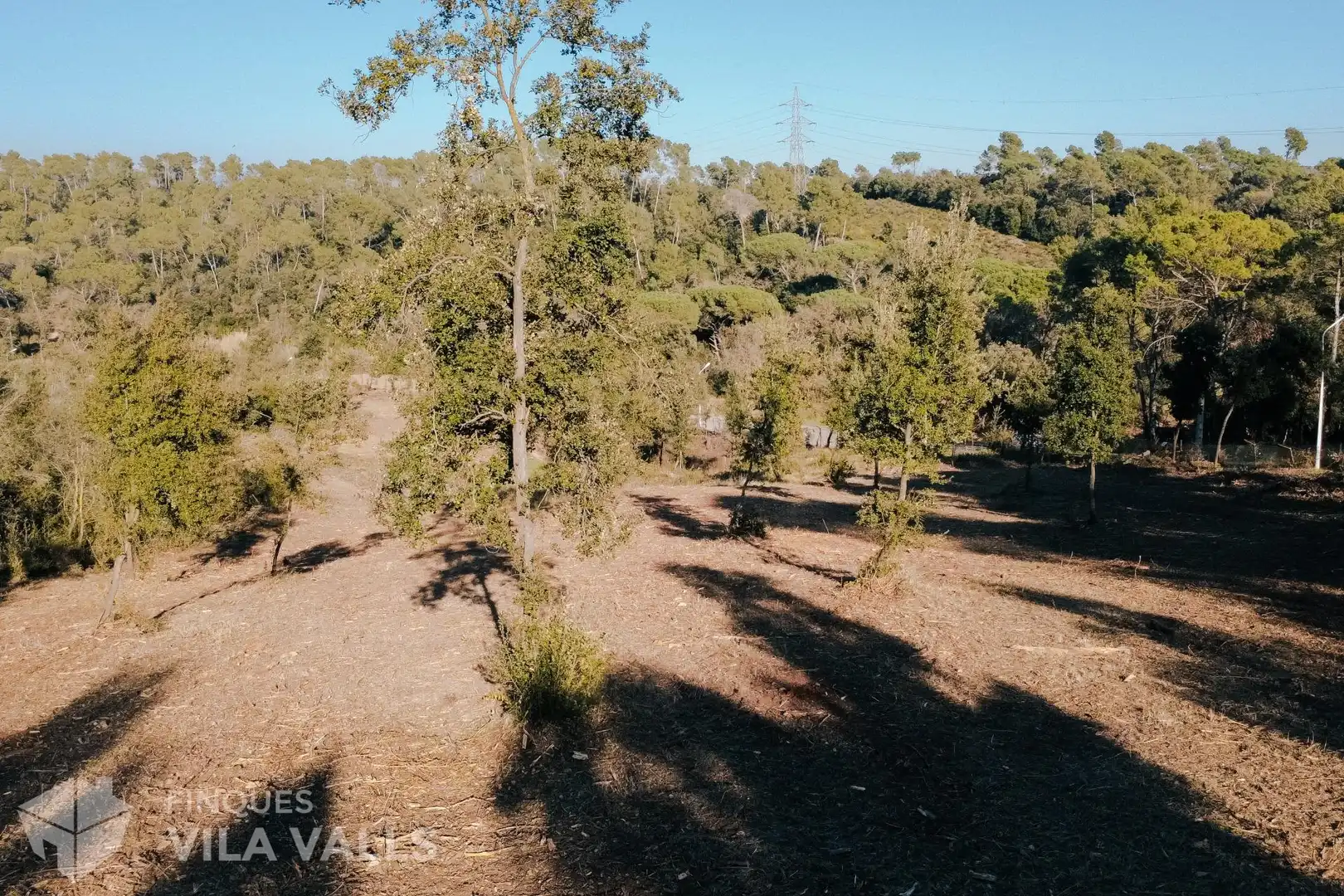 Lands and plots for sale in Calle Palaudaries, imagen 3