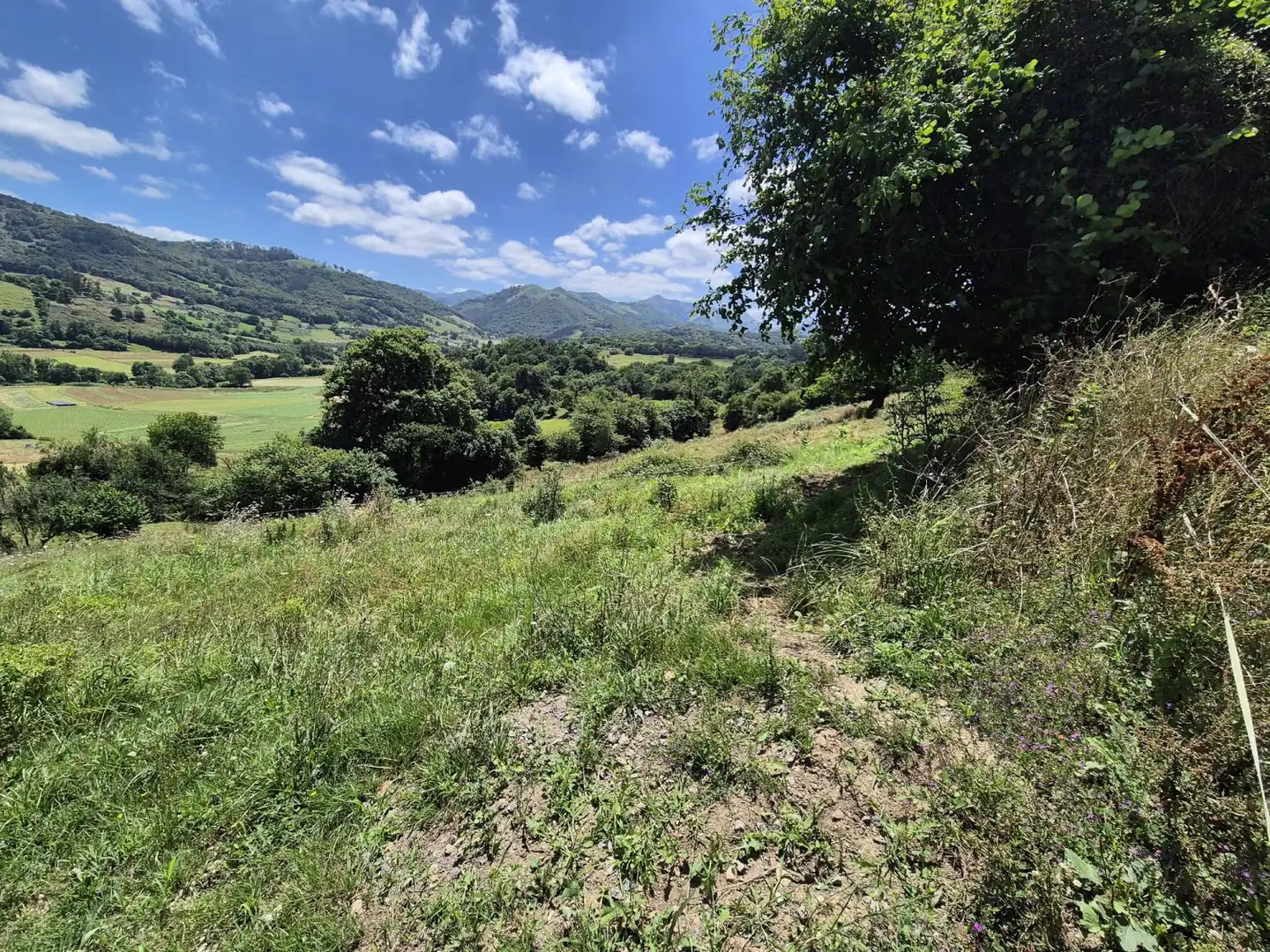 Residential land for sale in Grado, imagen 3