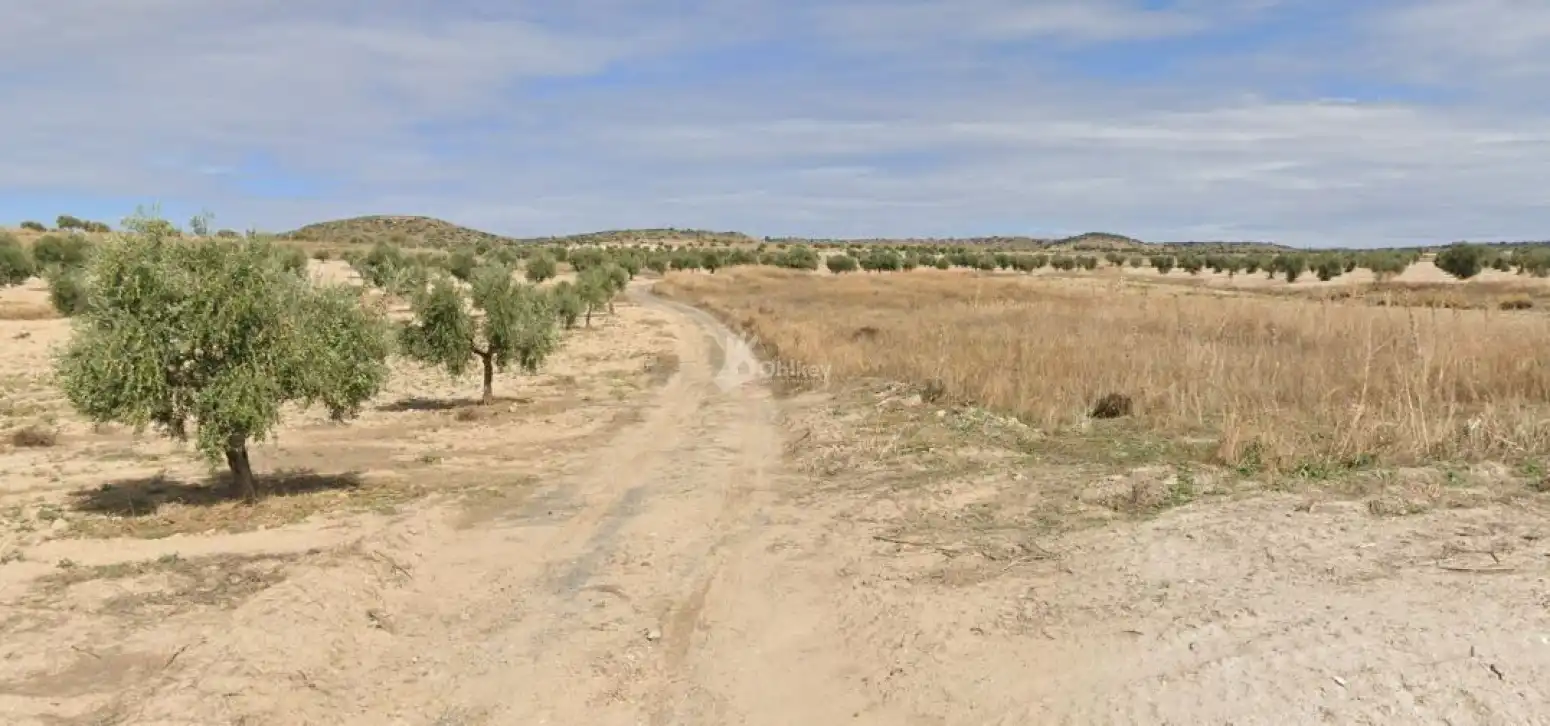 Rural land for sale in Villaconejos, imagen 4
