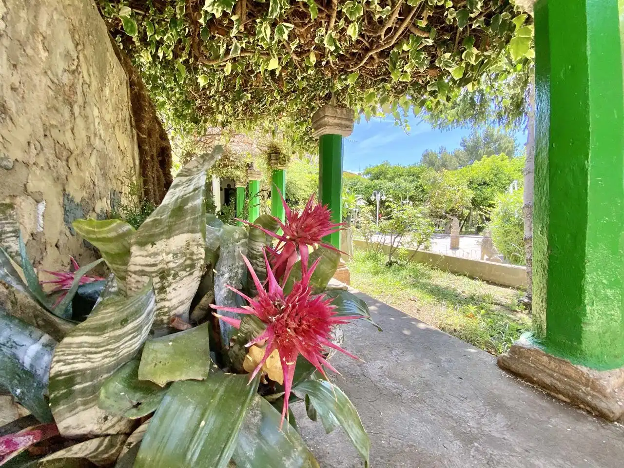Garten von Haus oder Chalet zum Verkauf in  Palma de Mallorca mit Privatgarten, Terrasse und Abstellraum