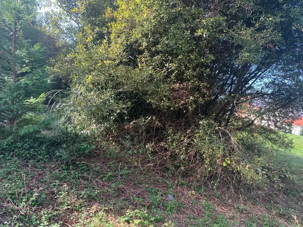Terreno residenziale in vendita a Coto Núcleo, imagen 7