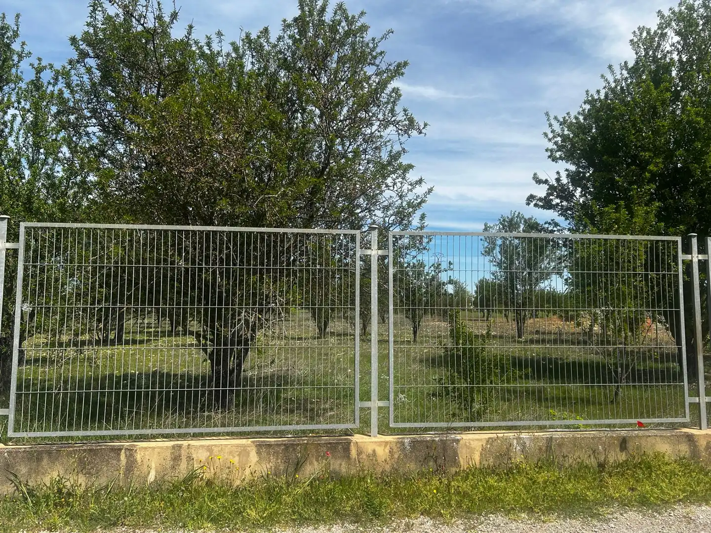 Terreny rústic en venda a Miguelturra, imagen 3