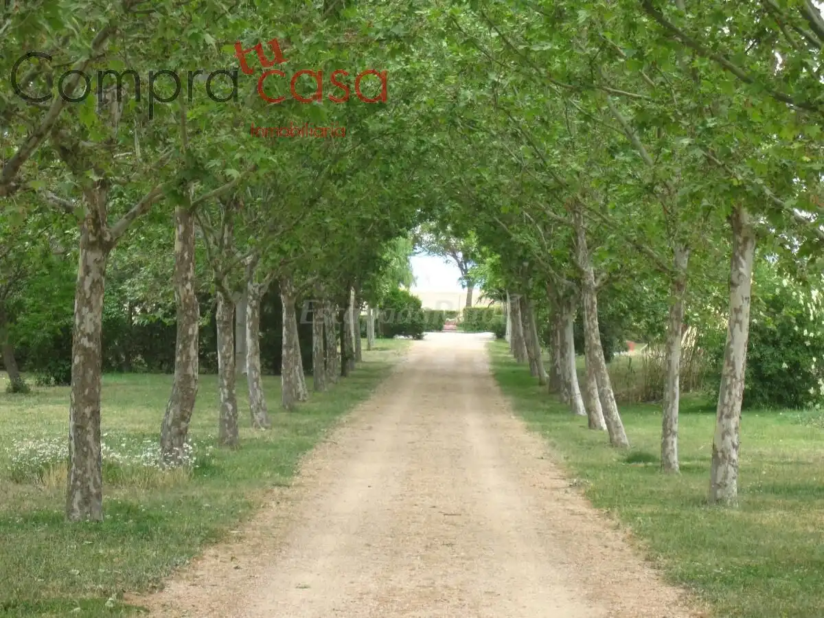 Vista exterior de Casa o chalet en venta en Valverde del Majano con Calefacción, Jardín privado y Terraza
