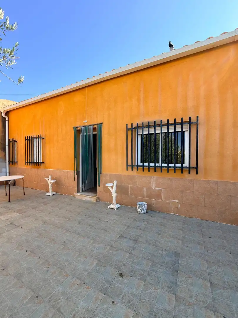Vista exterior de Casa o xalet en venda en Albox amb Jardí privat