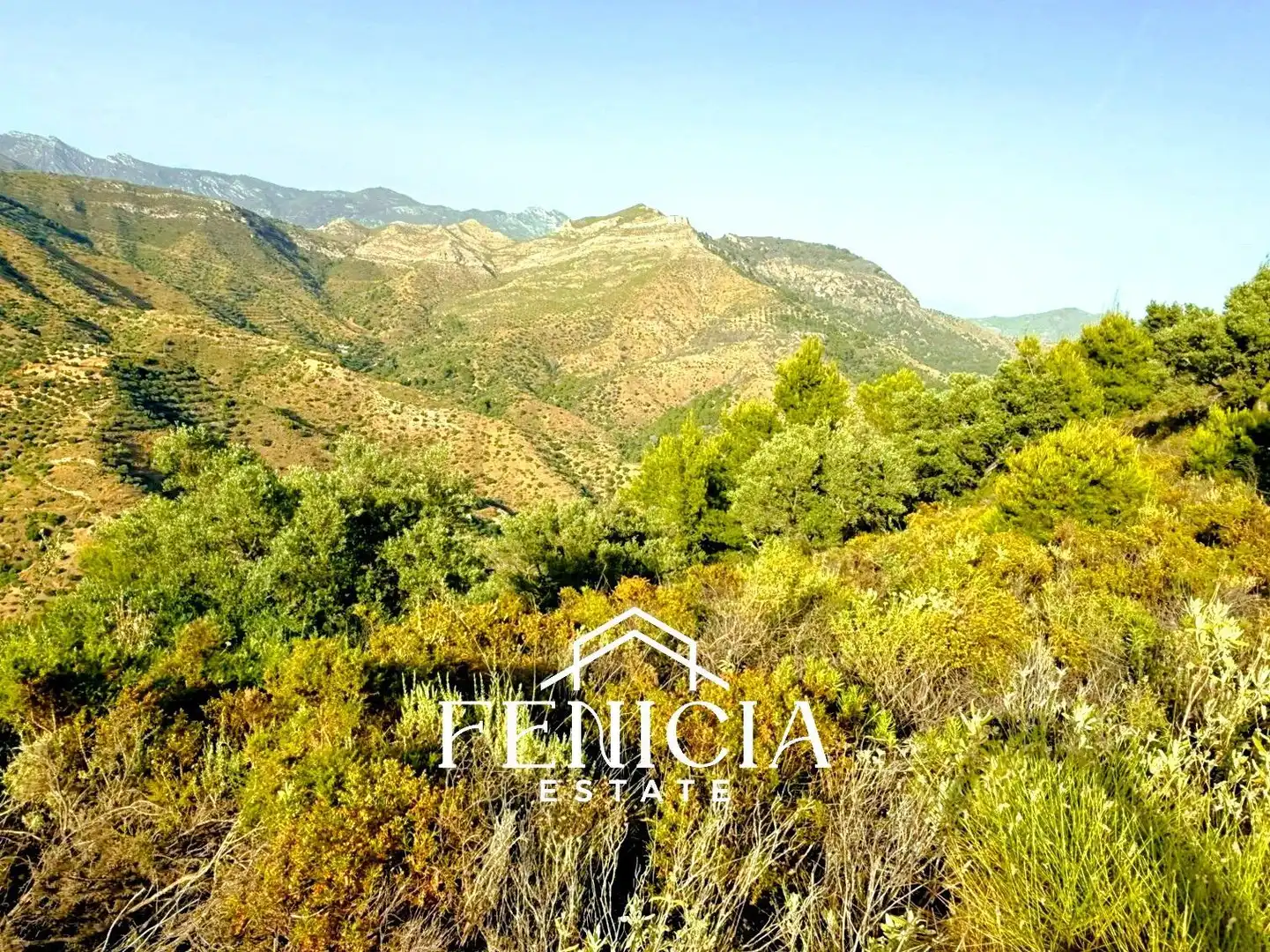 Exterior view of Flat for rent in Almuñécar  with Terrace, Furnished and Community pool
