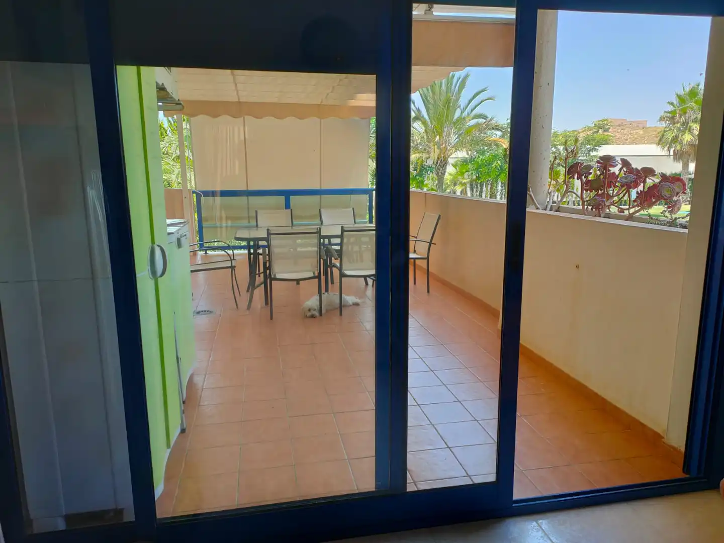 Terrasse von Wohnung zur Miete in Cartagena mit Möbliert, Ofen und Waschmaschine