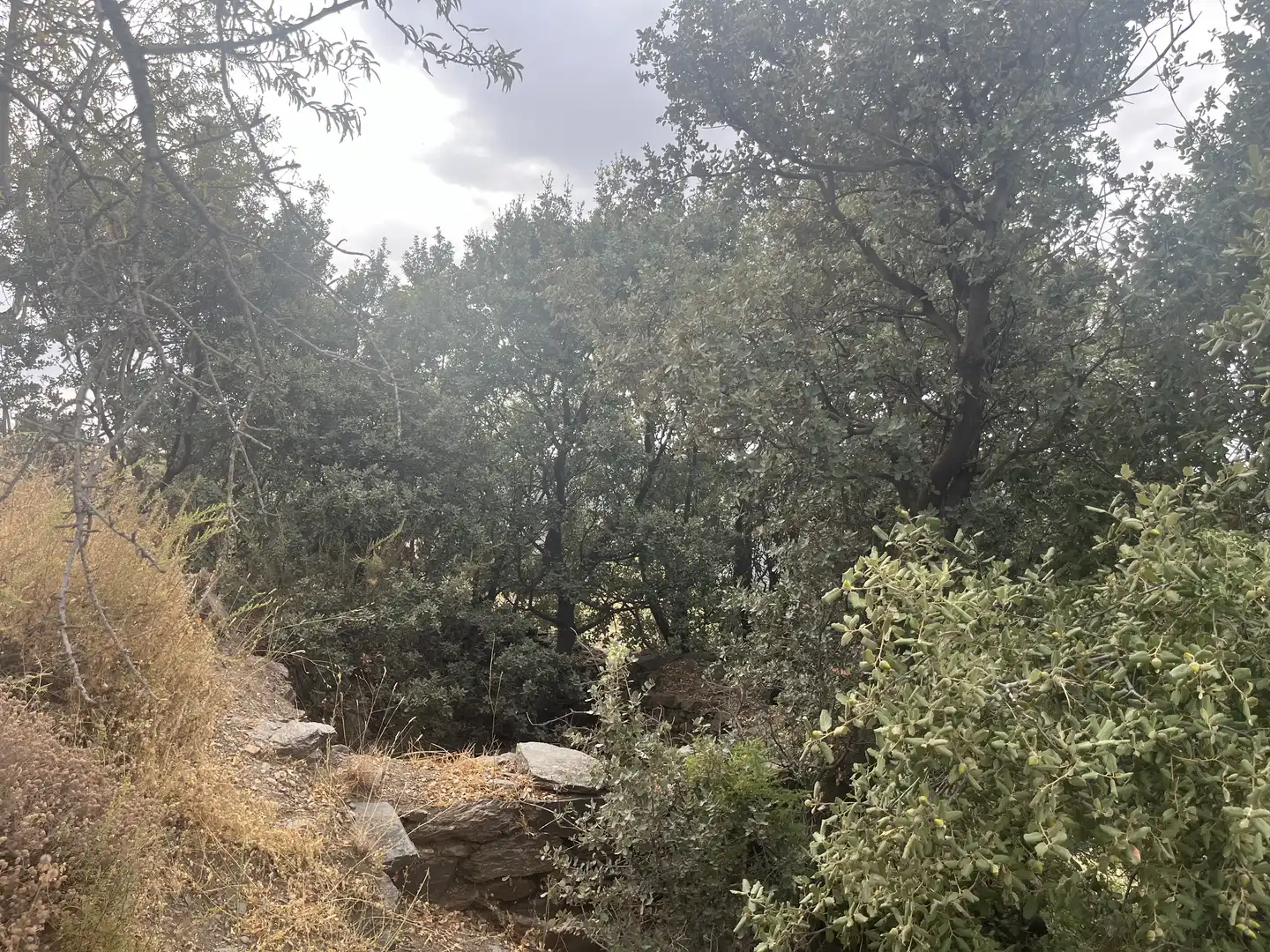 Terreno en venta en La Taha
